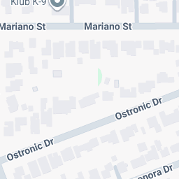 Professional Inspection in Progress